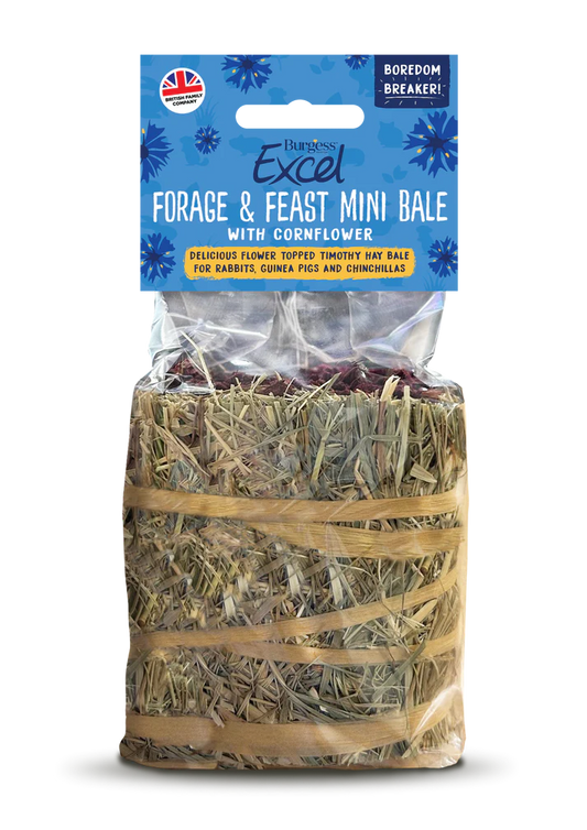 Front View of Burgess Excel Forage and Feast Mini Hay Bale for Rabbit, Guinea Pigs & Chinchilla - Cornflower - 100g