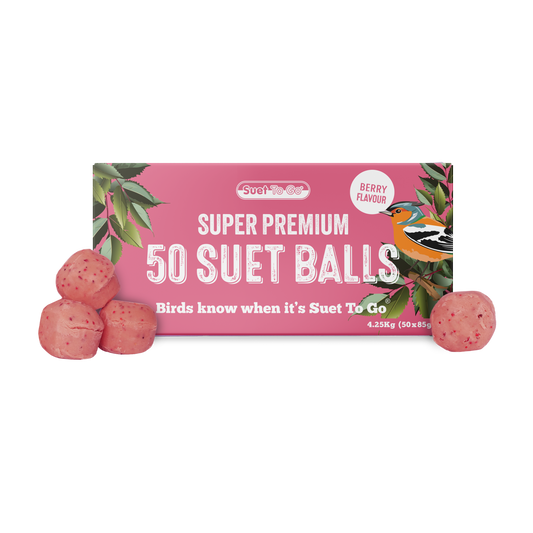 Front View of Suet to Go Suet Balls Refill Wild Bird Food - Berry - 50 x 85g