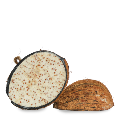 Suet to Go Suet Half Coconut Feeder Wild Bird Food - Mealworm - 10 Pack