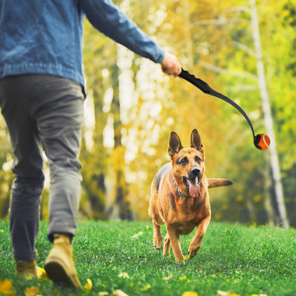 RAC Tennis Ball Launcher for Dogs