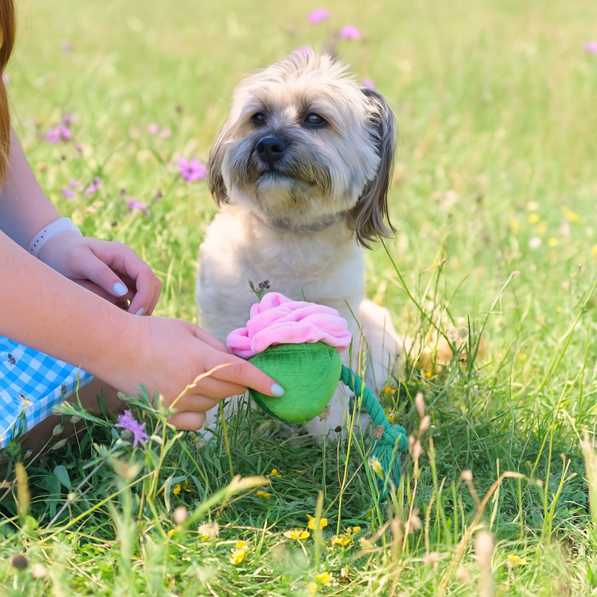 Cath Kidston Dolly Rose Rope Dog Toy MedicAnimal Cath Kidston Dolly Rose Rope Dog Toy MedicAnimal