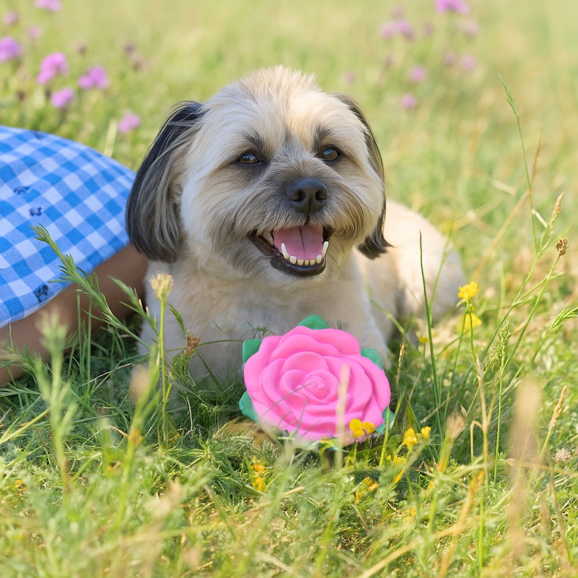Cath Kidston Dolly Rose Latex Rose Ball Dog Toy - One Size