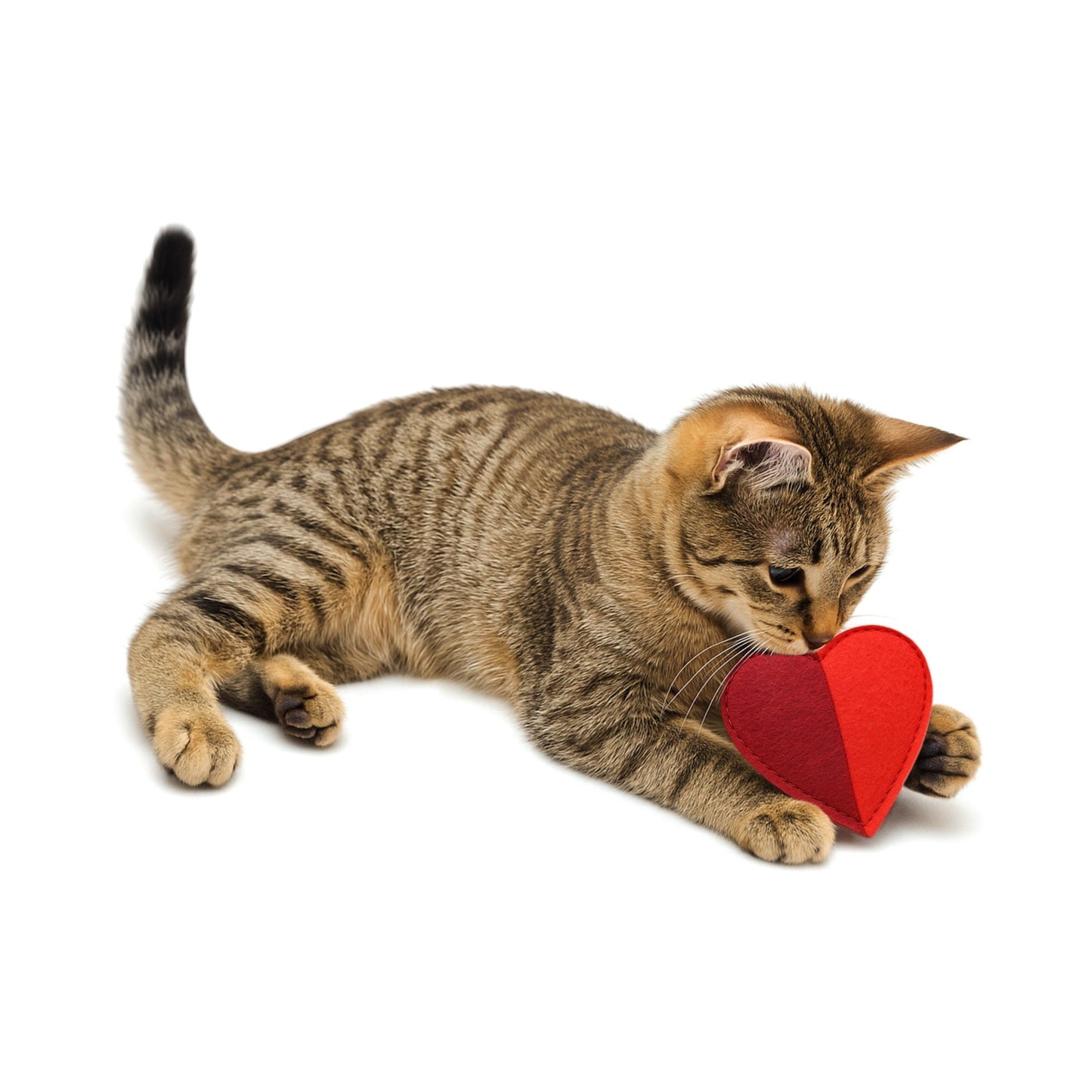 Cath Kidston Dogss & Roses Felt Hearts Cat Toy - One Size