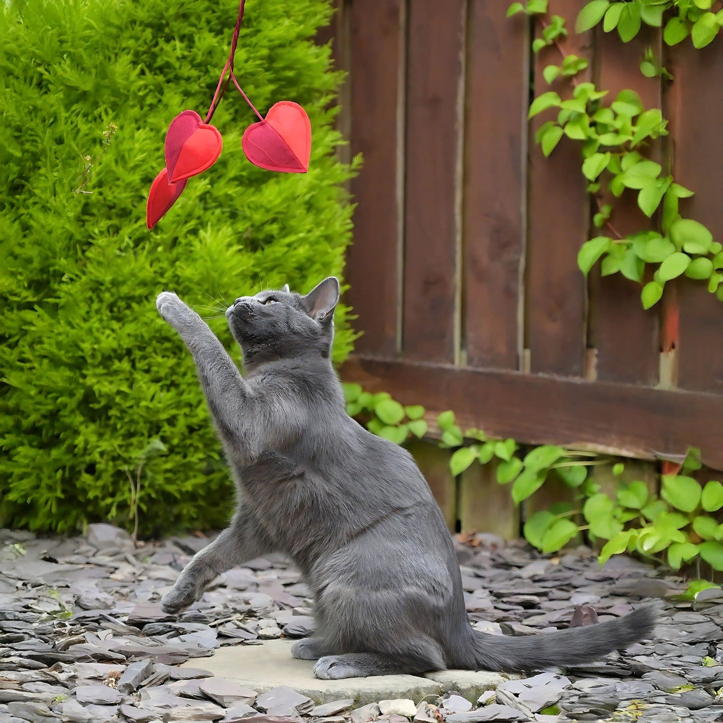 Cath Kidston Dogs & Roses 3 Hearts Cat Teaser Toy - One Size