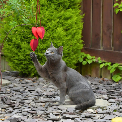 Cath Kidston Dogs & Roses 3 Hearts Cat Teaser Toy - One Size