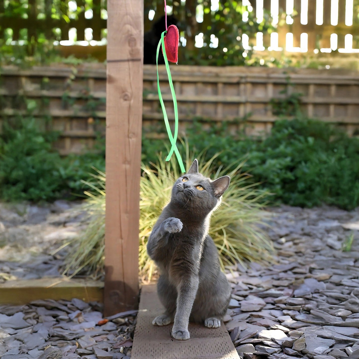 Cath Kidston Dogs & Roses Cat Teaser Toy - One Size