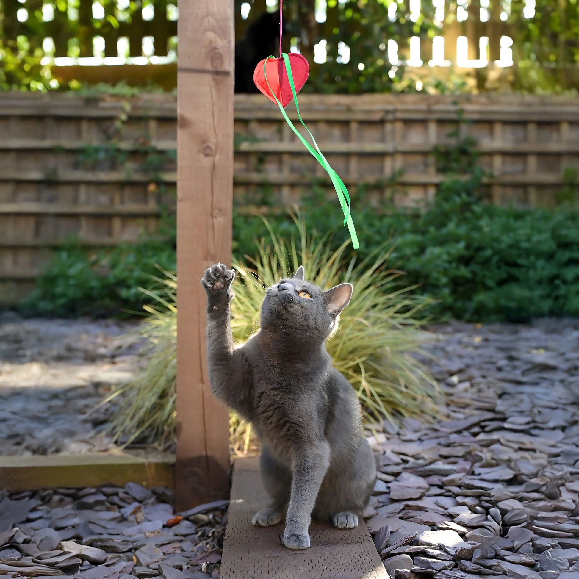 Cath Kidston Dogs & Roses Cat Teaser Toy - One Size