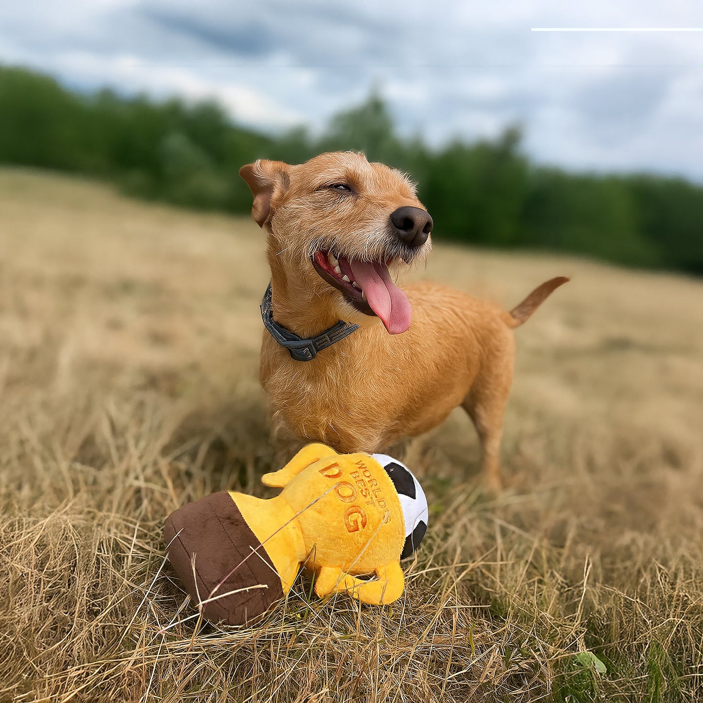 Ministry Of Pets Worlds Best Pup Cup Dog Toy