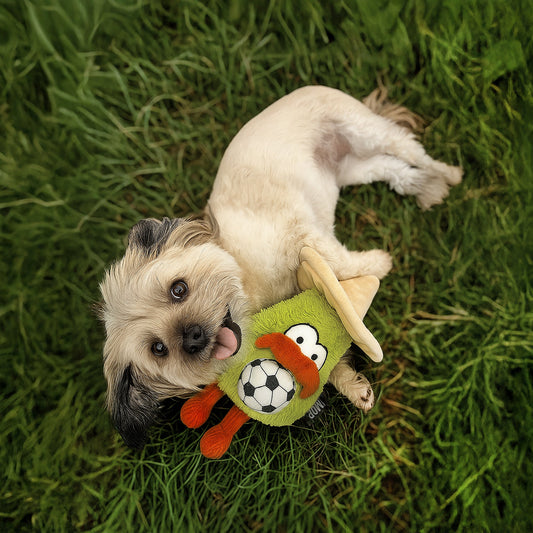 Ministry Of Pets Alfonso the Avocado - Mexico Dog Toy