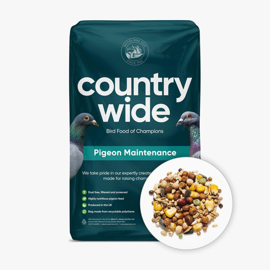 Front View of Countrywide Pigeon Maintenance Mix - 20kg
