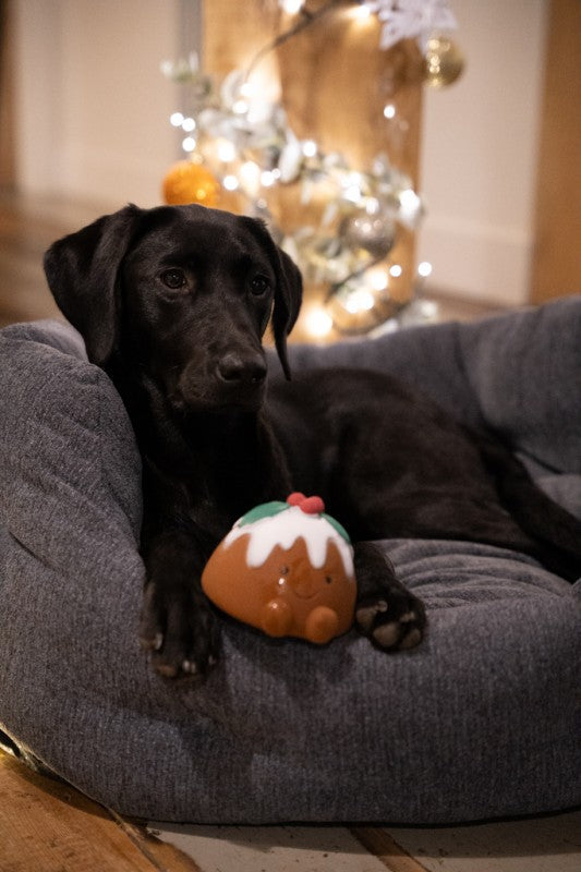 Lifestyle View of Petface Chrissie Christmas Pudding Dog Toy - One Size