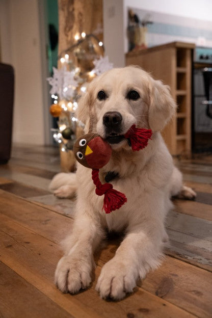 Lifestyle View of Petface Christmas Ryan Robin With Rope Plush Christmas Dog Toy - One Size