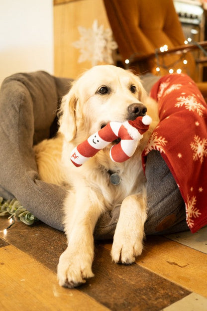 Petface Candy The Christmas Cane Plush Dog Toy