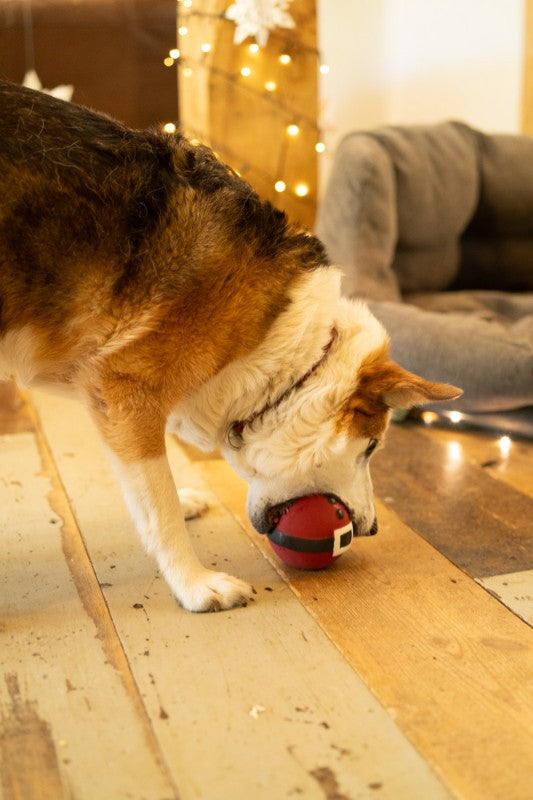 Petface Claus The Latex Christmas Bauble Dog Toy