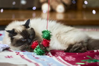 Petface Christmas Tinsel Bobble Cat Teaser Toy