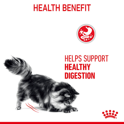 Royal Canin Digestive Care Adult Thin Slices in Gravy Wet Cat Food