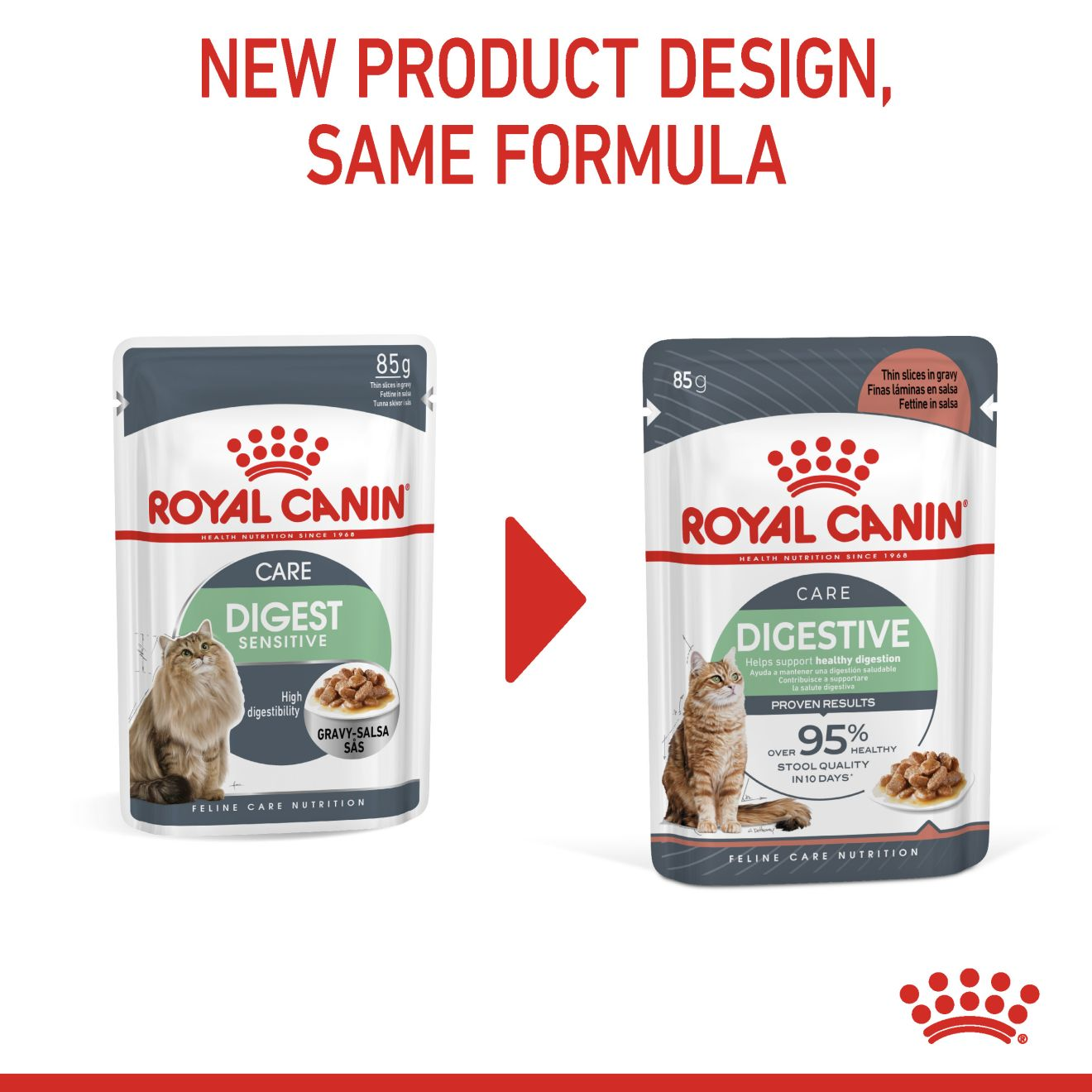 Royal Canin Digestive Care Adult Thin Slices in Gravy Wet Cat Food