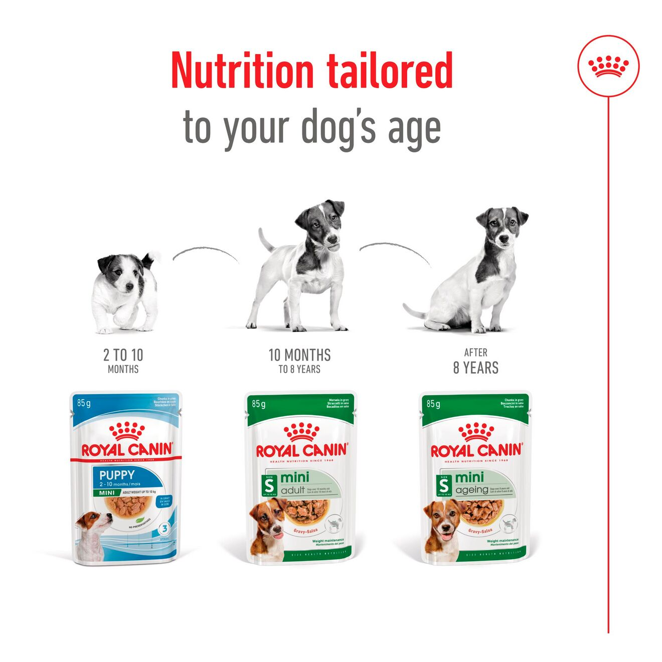 Royal Canin Size Health Nutrition Mini Adult Multipack in Gravy Wet Dog Food