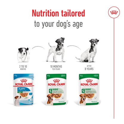 Royal Canin Size Health Nutrition Mini Adult Multipack in Gravy Wet Dog Food