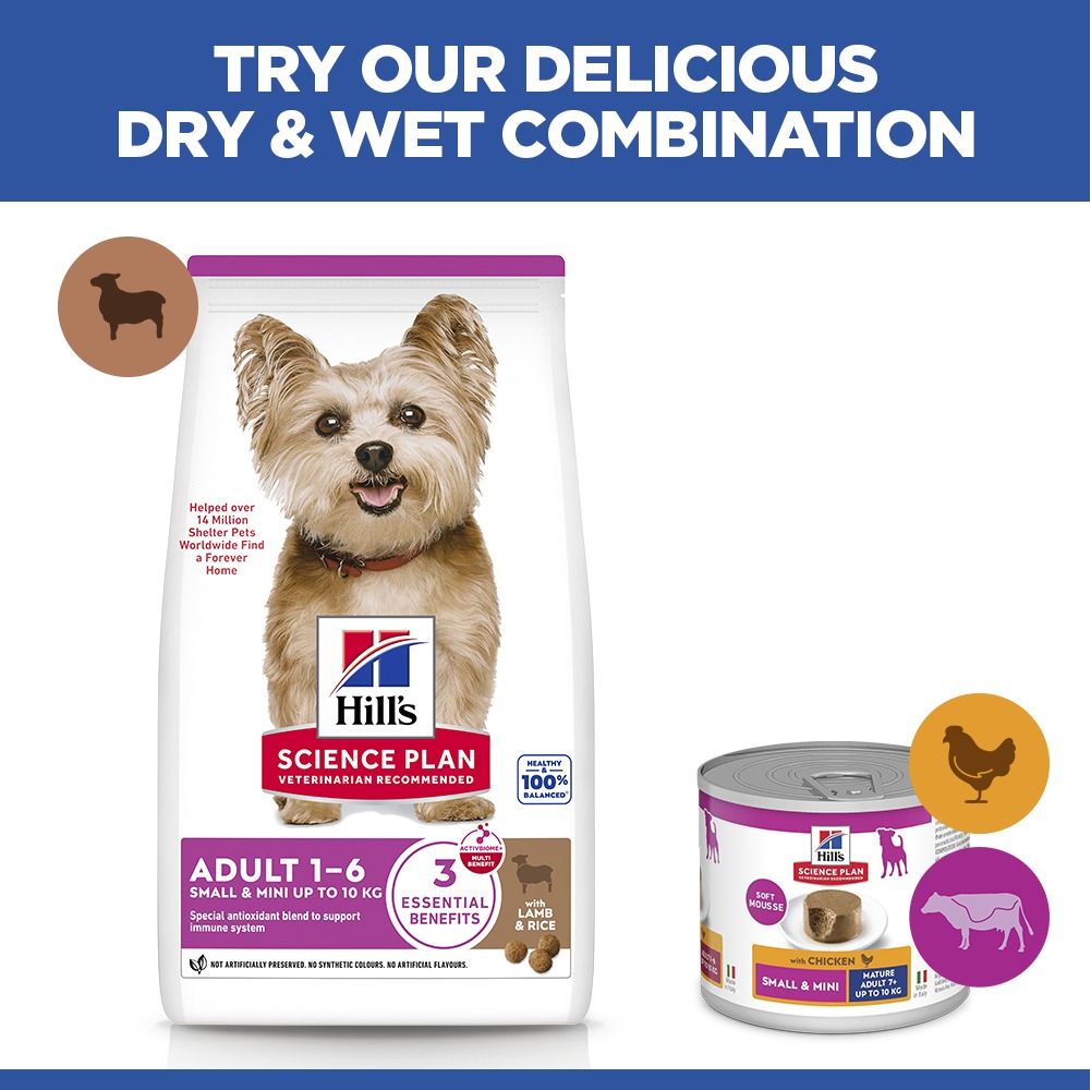 Hill's Science Plan Adult Small & Mini Breed Dry Dog Food with Lamb & Rice