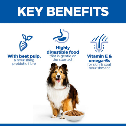 Hill's Science Plan Sensitive Stomach & Skin Medium Adult 1+ Dry Dog Food - Chicken