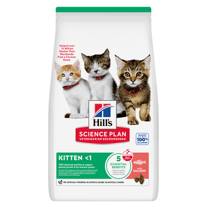 Hill's Science Plan Kitten Dry Cat Food with Salmon