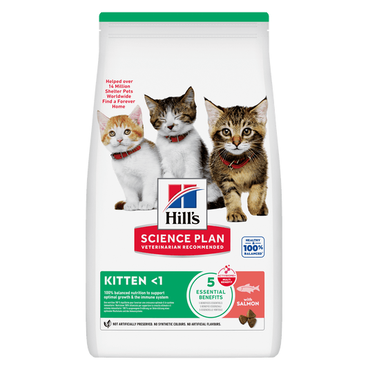 Hill's Science Plan Kitten Dry Cat Food with Salmon