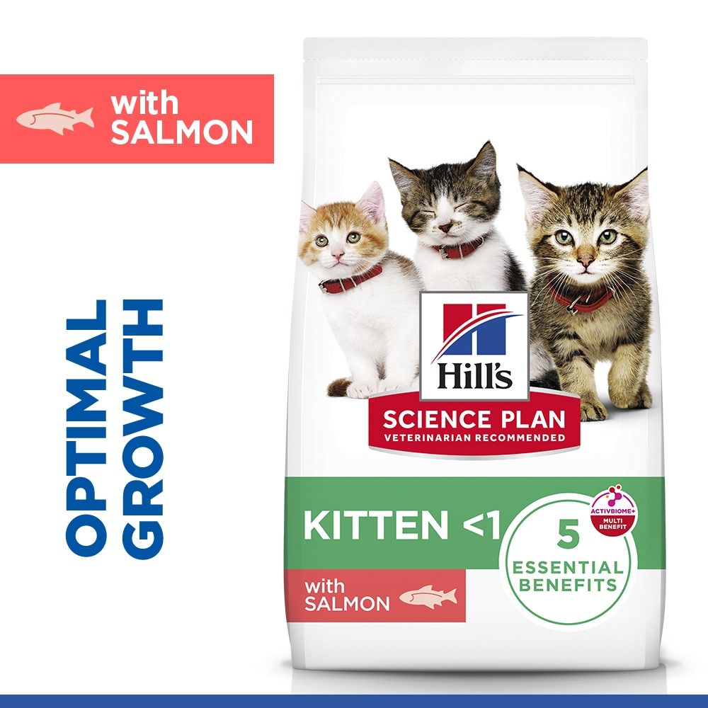 Hill's Science Plan Kitten Dry Cat Food with Salmon