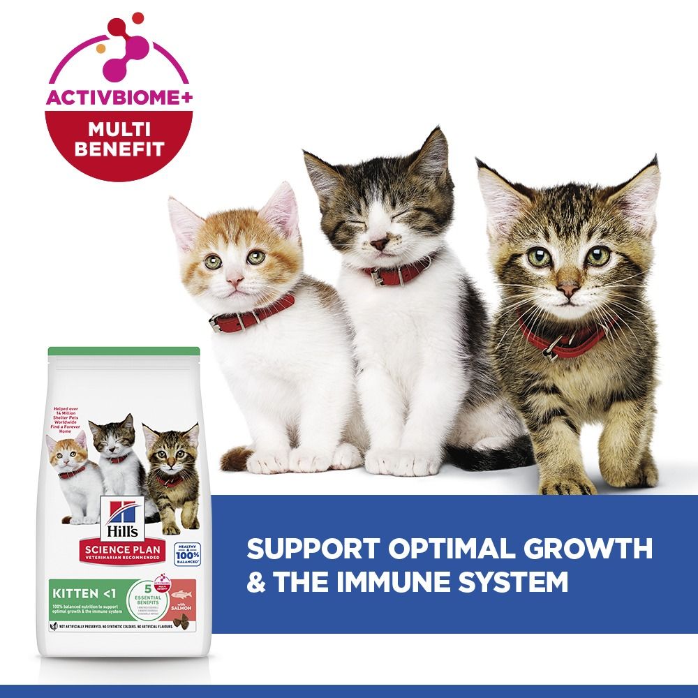 Hill's Science Plan Kitten Dry Cat Food with Salmon