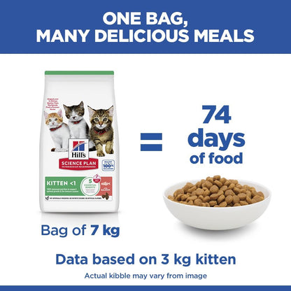 Hill's Science Plan Kitten Dry Cat Food with Salmon