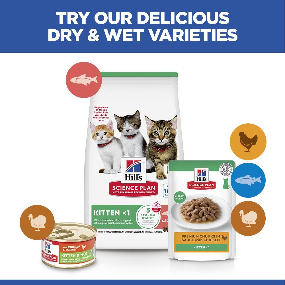 Hill's Science Plan Kitten Dry Cat Food with Salmon