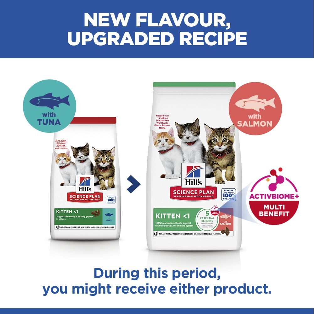 Hill's Science Plan Kitten Dry Cat Food with Salmon