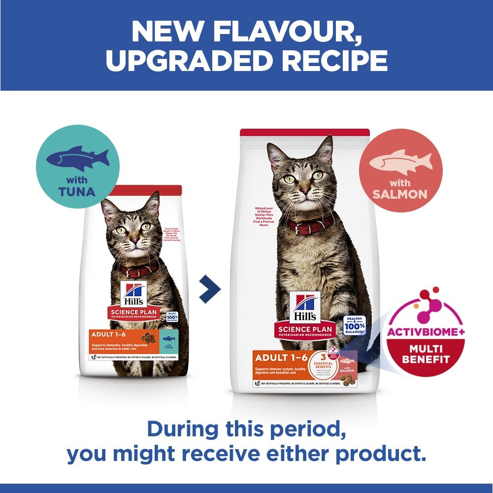 Hill's Science Plan Adult Dry Cat Food with Salmon