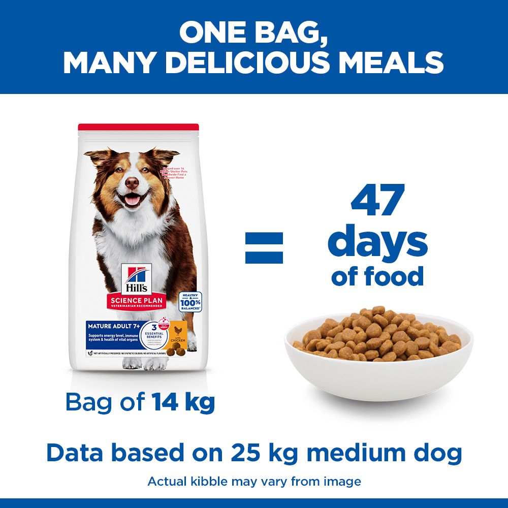 Hill's Science Plan Mature Adult Medium Breed Dry Dog Food with Chicken