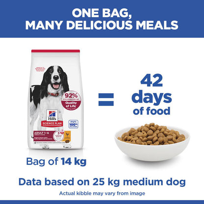 Hill's Science Plan Adult Medium Breed Dry Dog Food with Chicken
