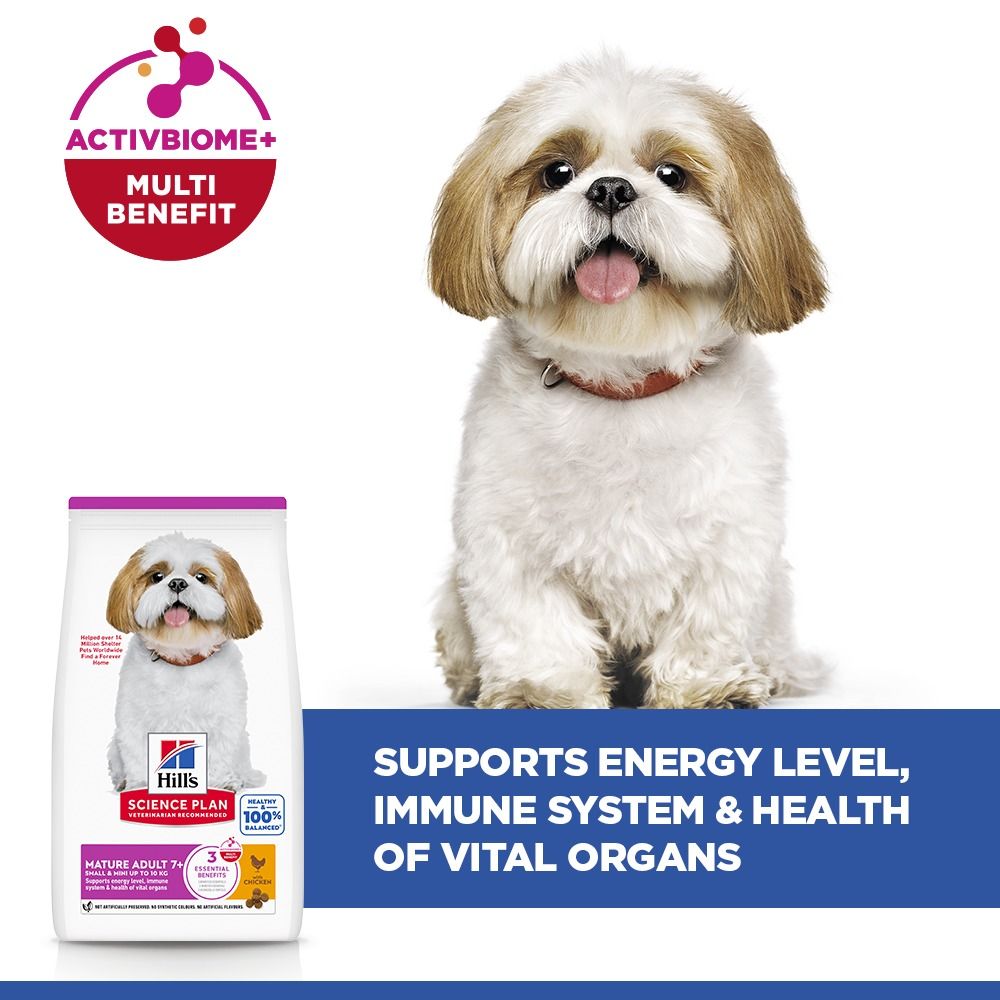 Hill's Science Plan Mature Adult Small & Mini Breed Dry Dog Food with Chicken