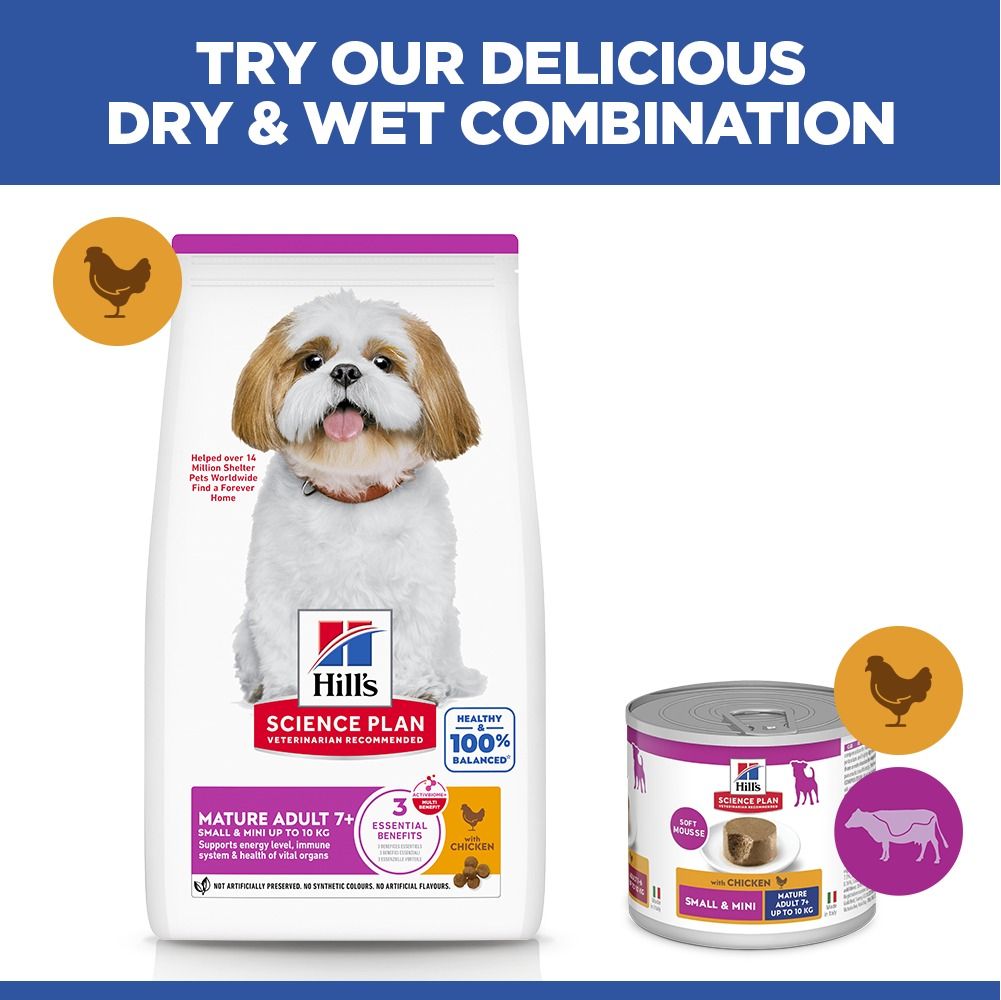 Hill's Science Plan Mature Adult Small & Mini Breed Dry Dog Food with Chicken