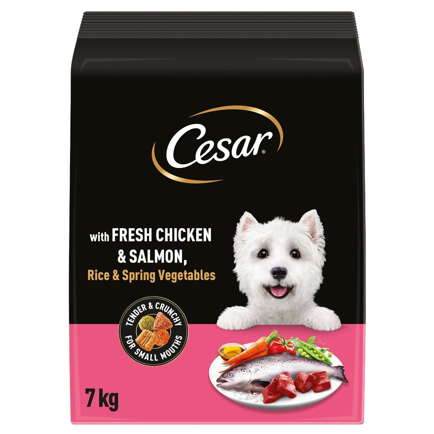 Cesar Complete Dry Dog Food with Fresh Chicken, Salmon & Vegetables