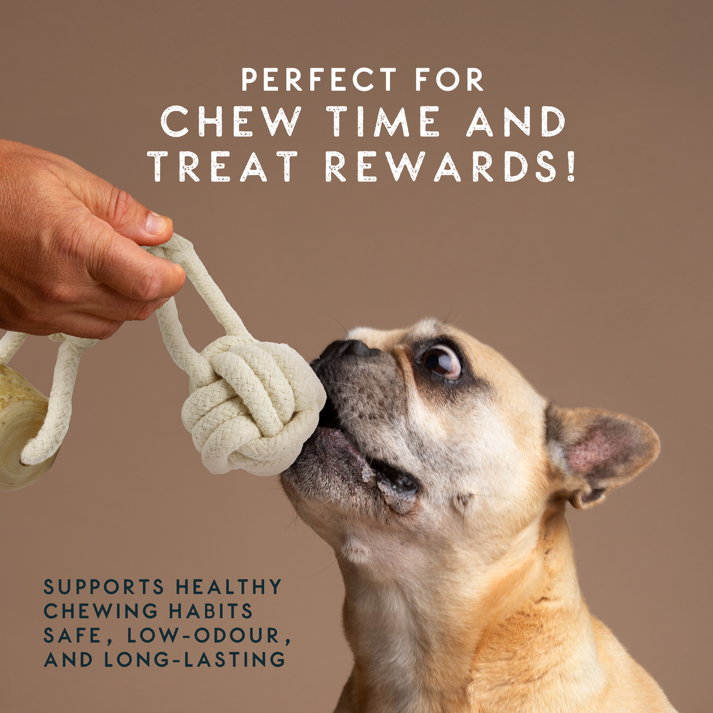 Elkwood Coffee Wood Dumbbell Dog Toy