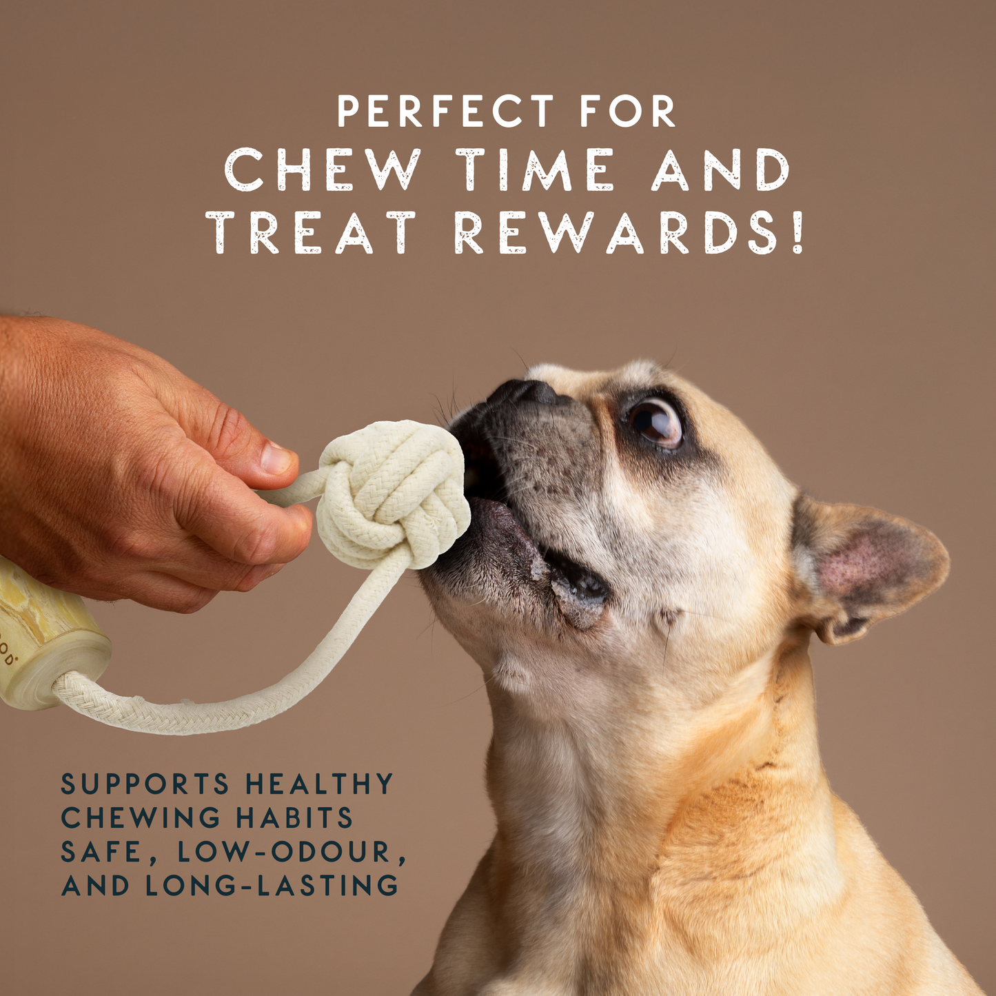 Elkwood Coffee Wood Ball & Chew Dog Toy