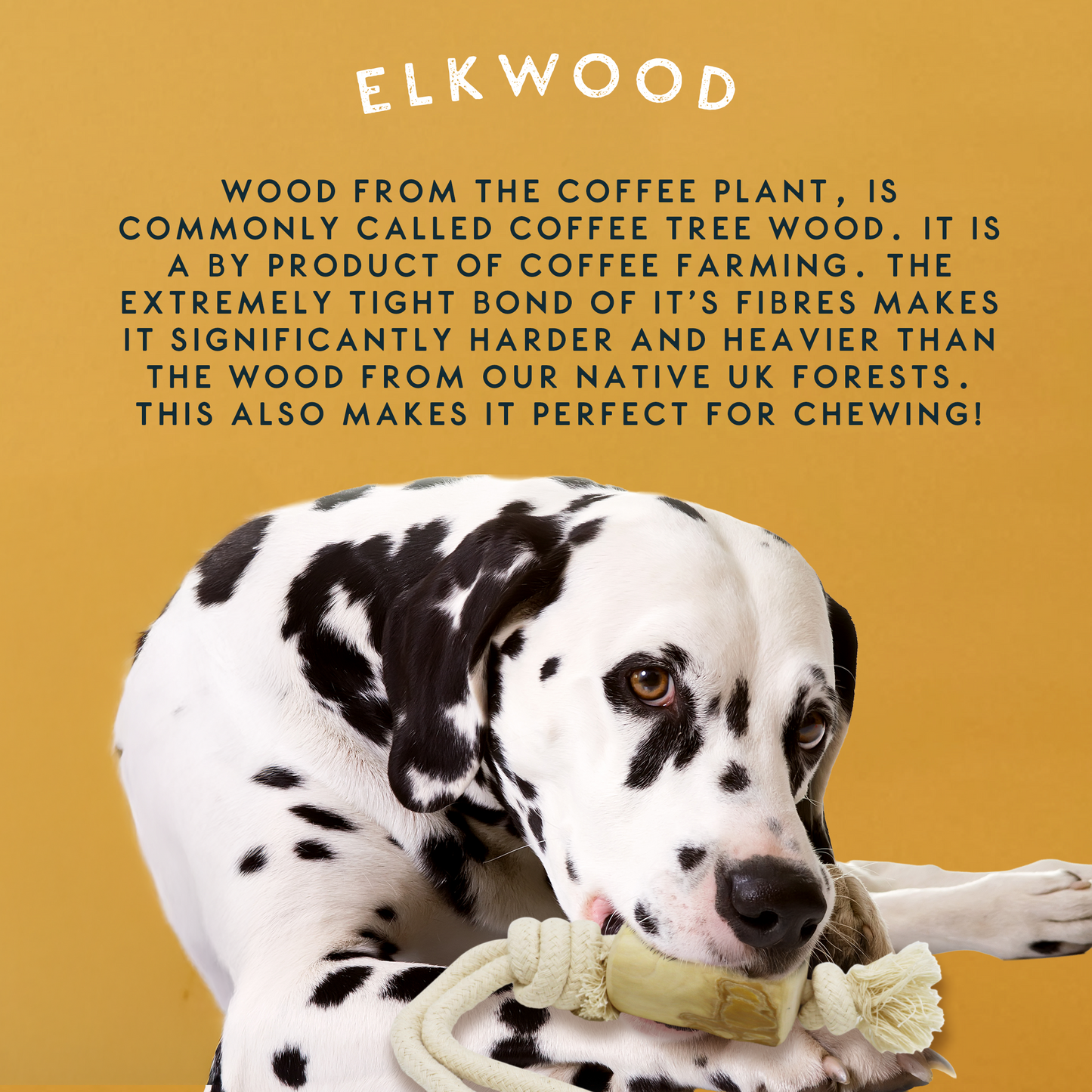 Elkwood Coffee Wood Rope Dog Toy