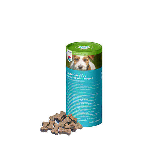 CVET NutriCareVet Canine Intestinal Support Soft Chew