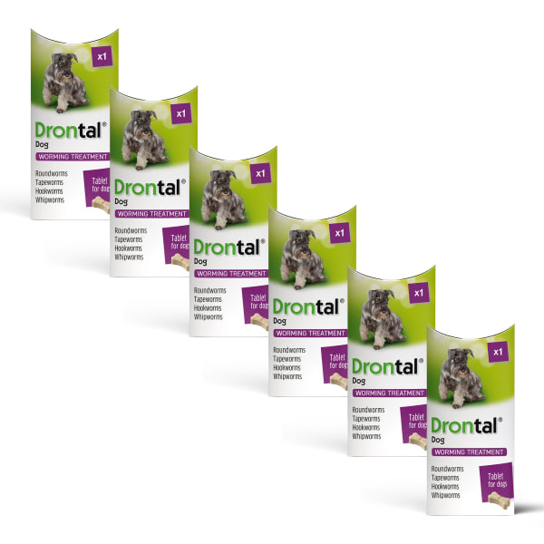 Drontal Tasty Bone Worming Tablets for Small and Medium Dogs 2kg to 20kg