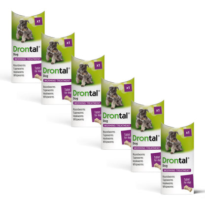 Drontal Tasty Bone Worming Tablets for Small and Medium Dogs 2kg to 20kg