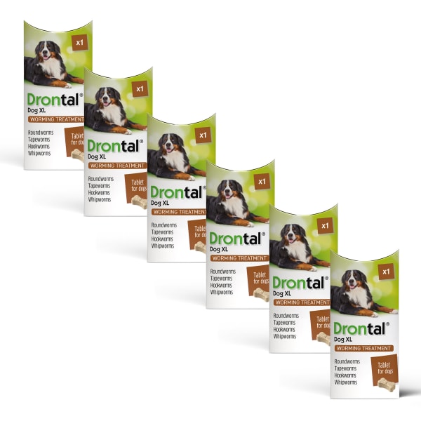 Drontal Dog XL Worming - 48 Tablets