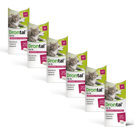 Drontal XL Worming Tablets for Large Cats and Kittens