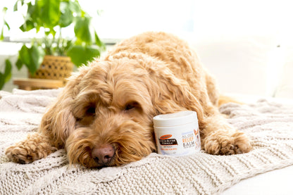 Palmer's for Pets Paw Pad & Nose Balm with Cocoa Butter