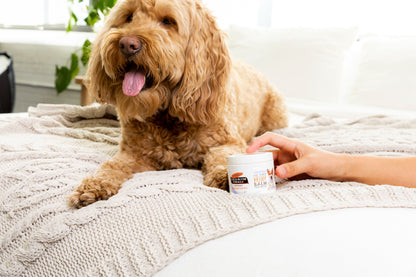Palmer's for Pets Paw Pad & Nose Balm with Cocoa Butter