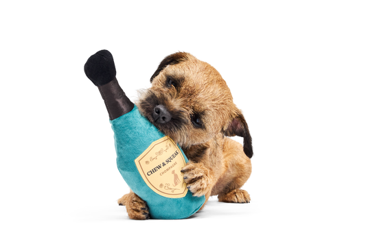 BARK X Crufts Winner's Chompagne Dog Toy