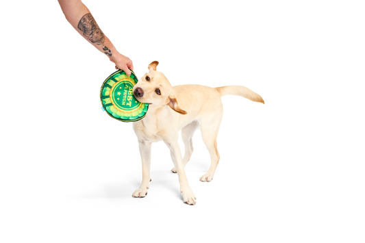 BARK X Crufts Throwsette Disc Dog Toy